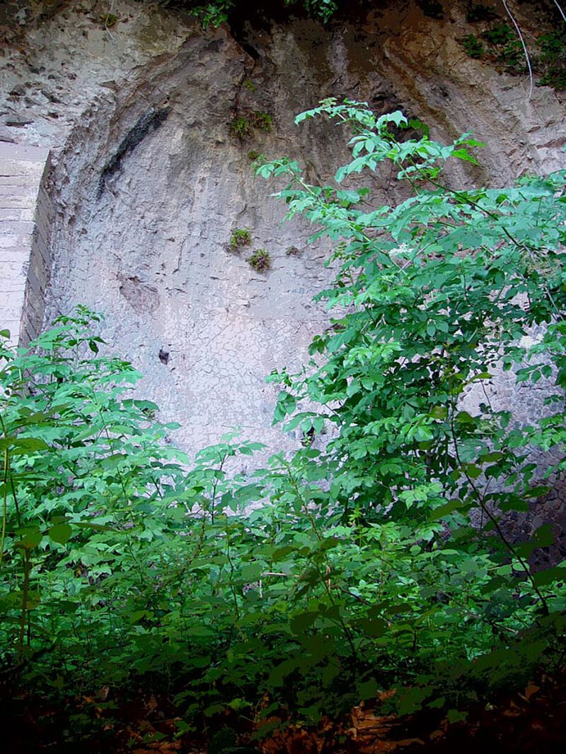 Tempel im Heiligtum der Diana am Nemi-See (300 v.Chr.), 2007