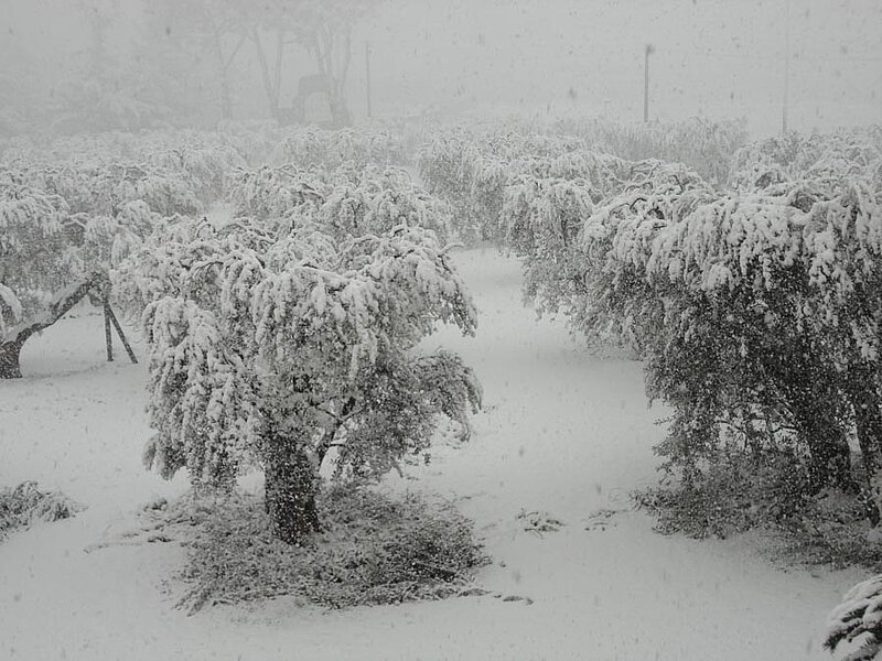 La Leprara, Februar 2012