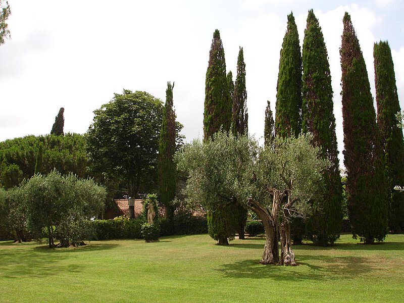 Im Garten von La Leprara, 2011