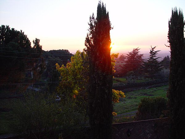 Aus dem Garten von La Leprara, 2008