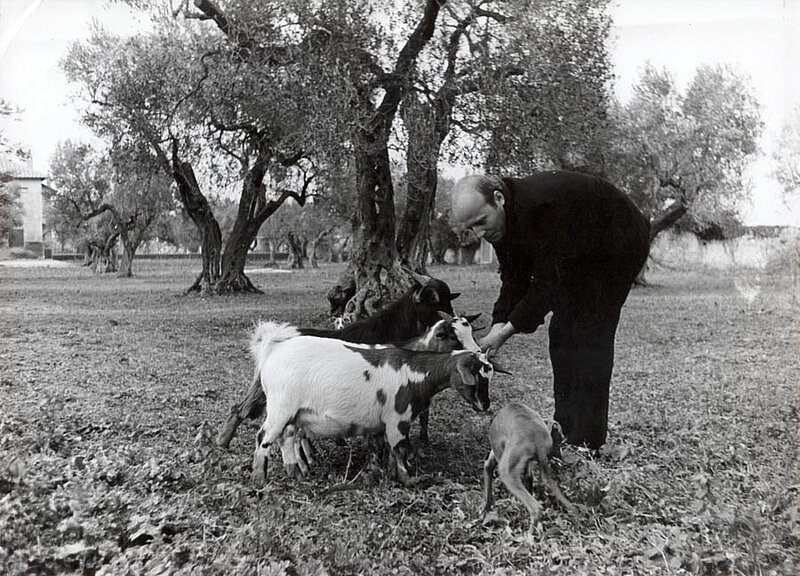Mit Ziegen und Windspiel "Ippolito" auf La Leprara, 1973