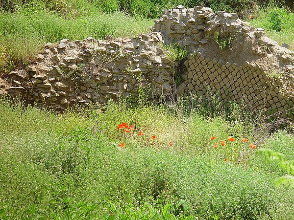 Mauerreste der Tempelanlage im Heiligtum der Diana am Nemi-S...