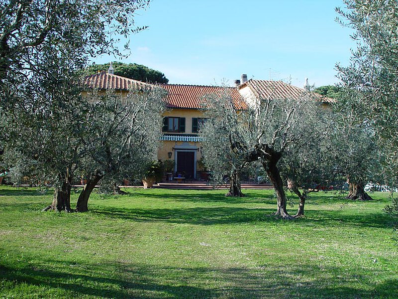 Im Garten von La leprara, 2009