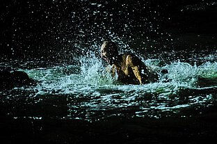 "Das Floß der Medusa", Komische Oper Berlin, 2023