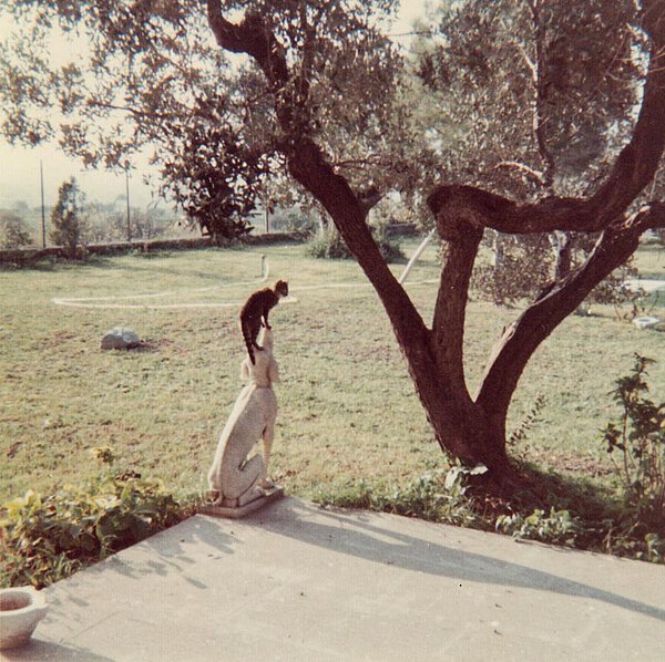La Leprara 1967