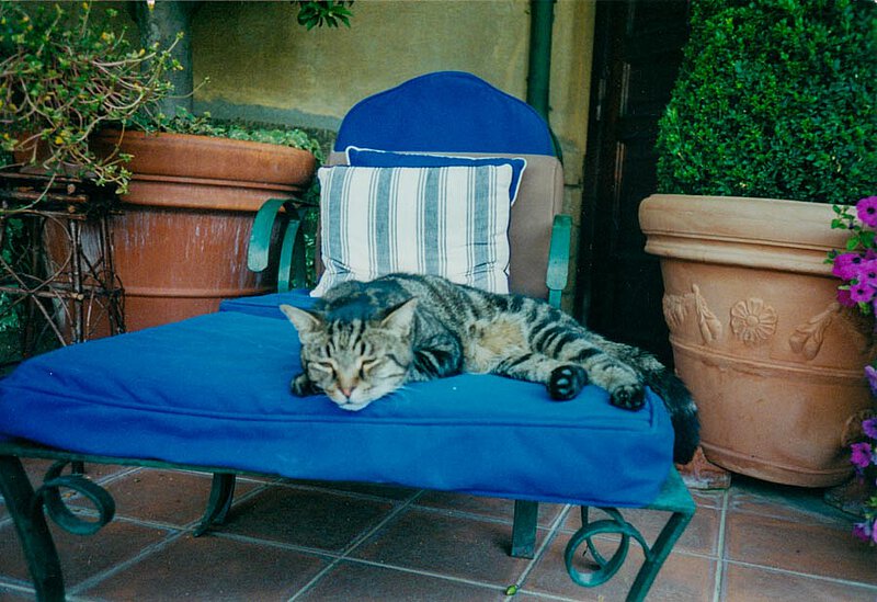 Kater Fumo auf La Leprara, 2001