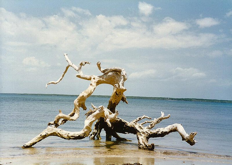 Motiv auf Lamu, 1995