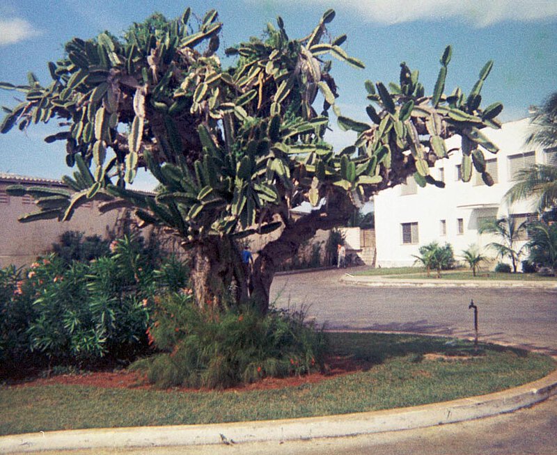 Isla de Pinos, Kuba 1969
