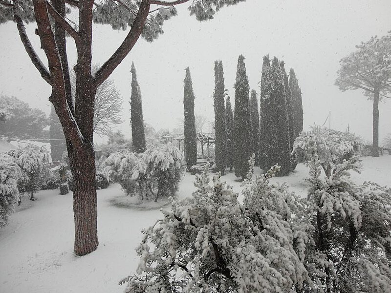La Leprara, Februar 2012