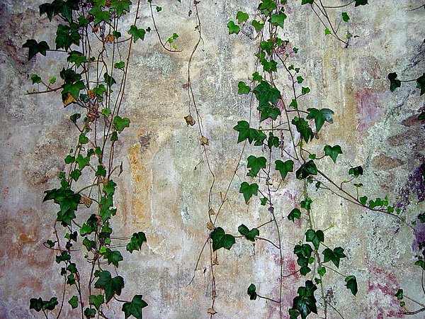 Fresko im Heiligtum der Diana am Nemi-See (300 v.Chr.), 2007