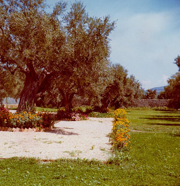 La Leprara 1967