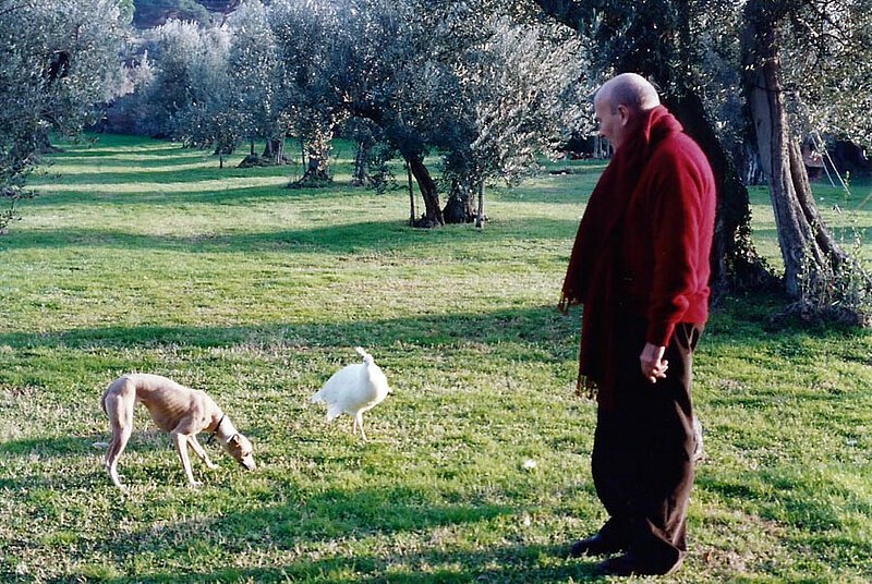 Mit Windhund Tania und Pfau im Garten von La Leprara, 1993