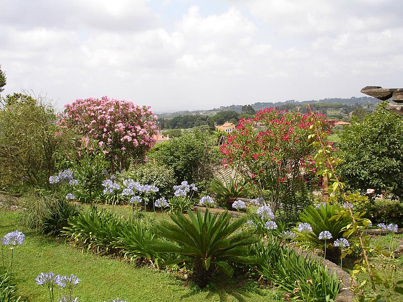 Im Garten von La Leprara, 2011