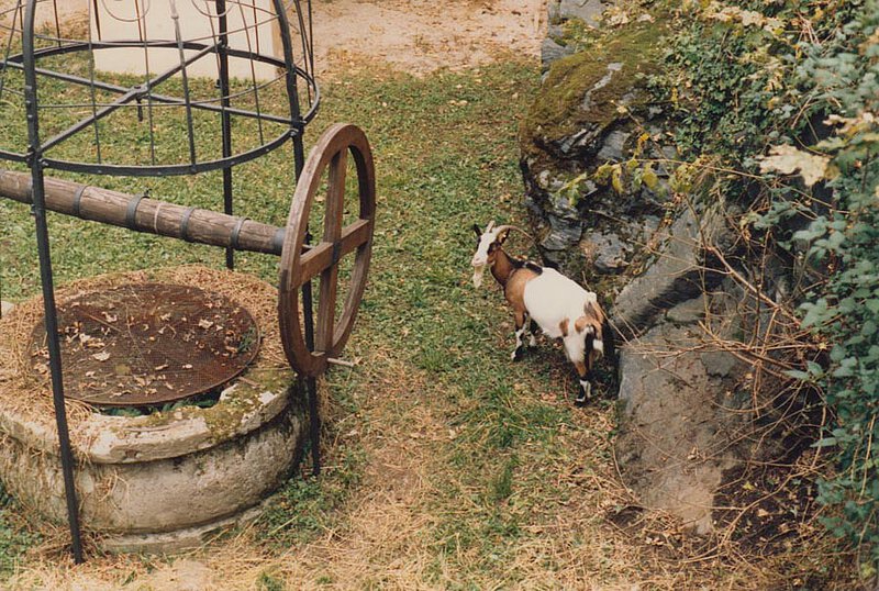 KleindarstellerIn, 3. Jugendmusikfest Deutschlandsberg, 1986